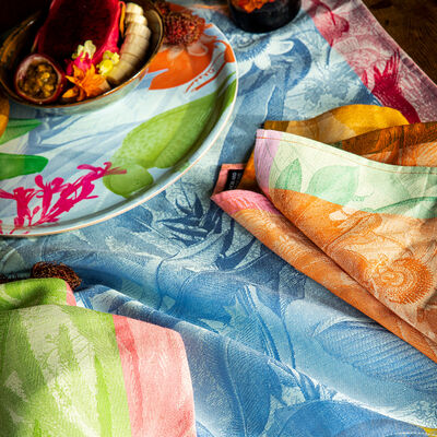 Pa&ntilde;o de cocina &Eacute;quateur Toucan 60x80 100% algodon