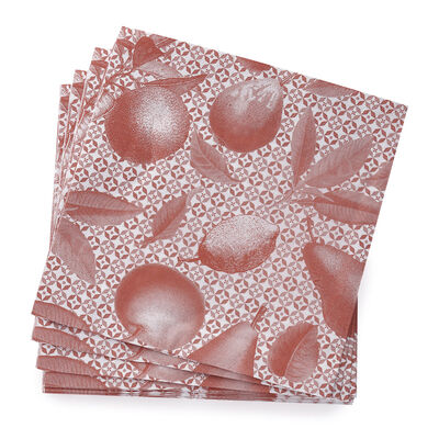 Servilleta de papel Arri&egrave;re-pays Algod&oacute;n