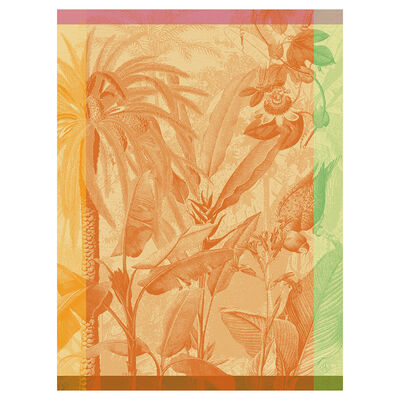 Pa&ntilde;o de cocina &Eacute;quateur Toucan 60x80 100% algodon
