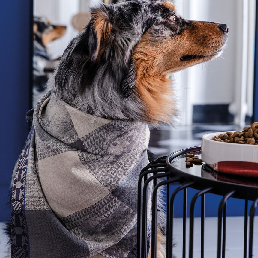 Pa&ntilde;o de cocina Truffes Chartreux 60x80 100% algod&oacute;n, , hi-res image number 1