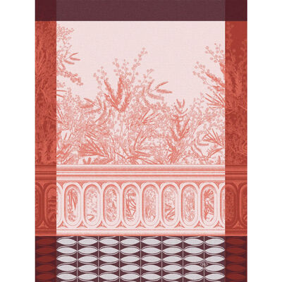 Pa&ntilde;o de cocina Riviera mimosa Aube 60x80 100% algodon