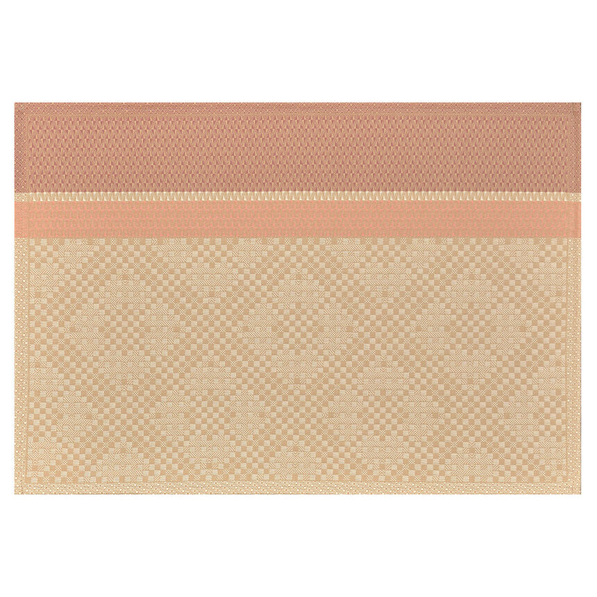 Individual antimancha Essentiel Graphique Terre 50x36 100% algodon, , hi-res image number 0