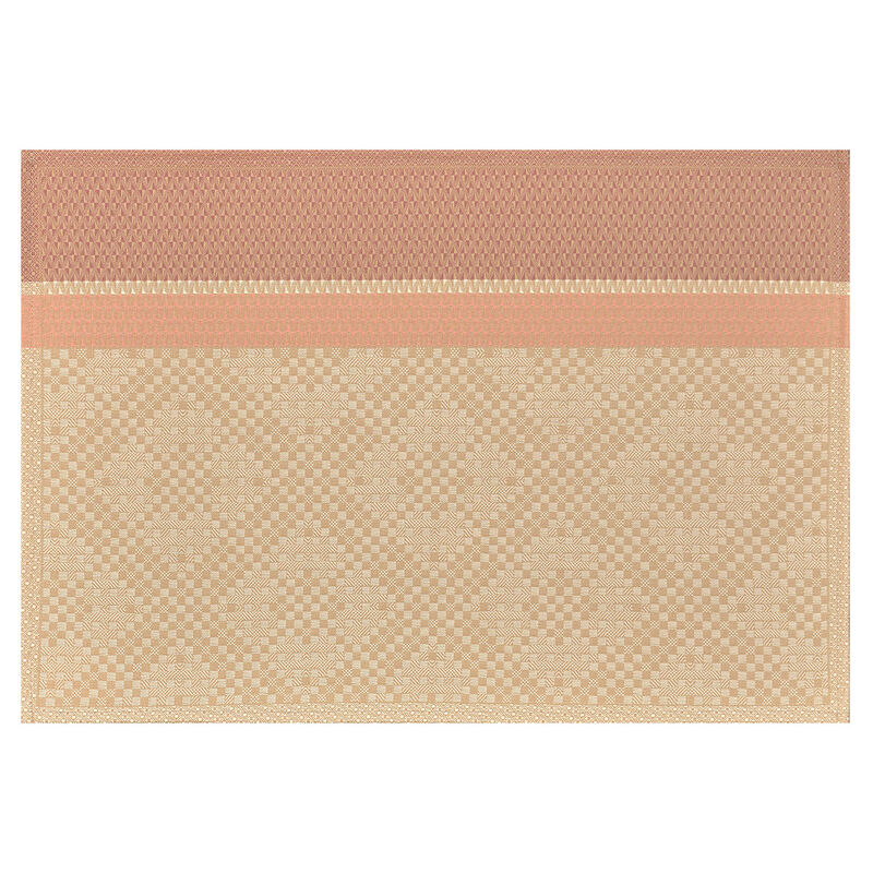 Individual antimancha Essentiel Graphique Terre 50x36 100% algodon, , hi-res image number 0