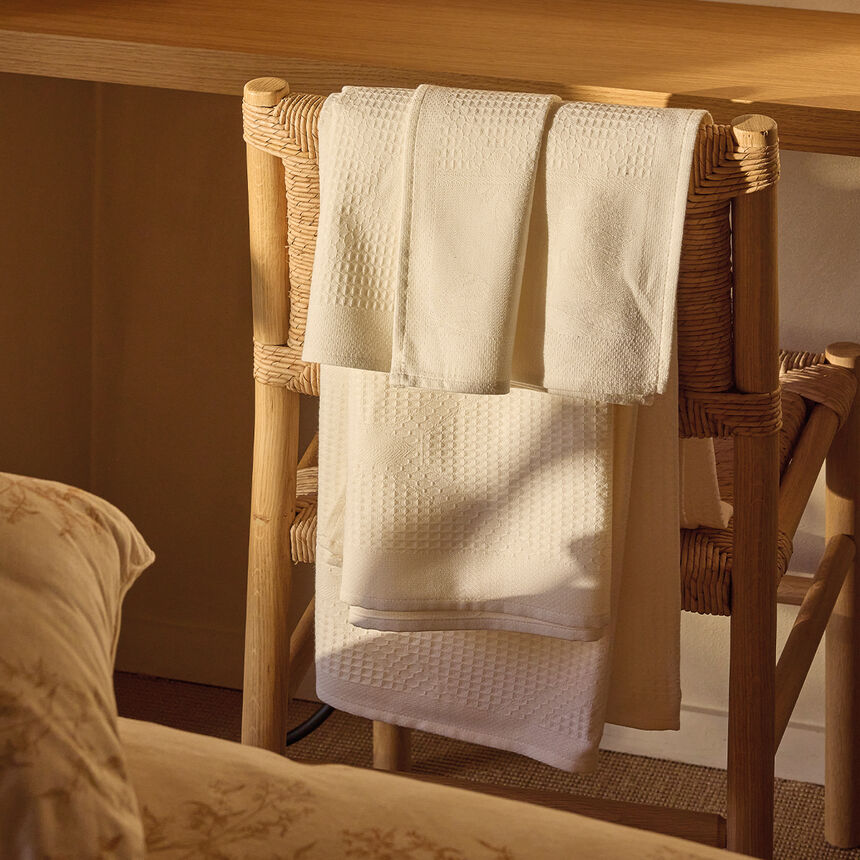 Colecci&oacute;n  algod&oacute;n, , hi-res image number 2