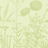 Pa&ntilde;o de cocina Blooming Algod&oacute;n, , swatch