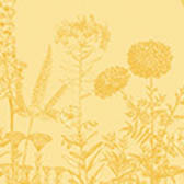 Pa&ntilde;o de cocina Blooming Algod&oacute;n, , swatch